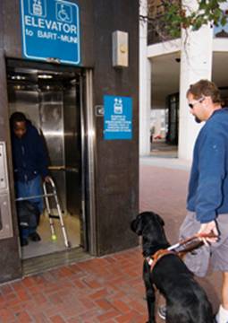 Photograph of Muni customer with harnessed service animal waiting to enter Muni Metro subway via the elevator.  Service animal sits attentively as another customer with mobility disability exits the elevator using a walker.